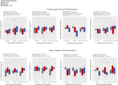 Soil Fungi Exposed to Warming Temperatures and Shrinking Snowpack in a Northern Hardwood Forest Have Lower Capacity for Growth and Nutrient Cycling